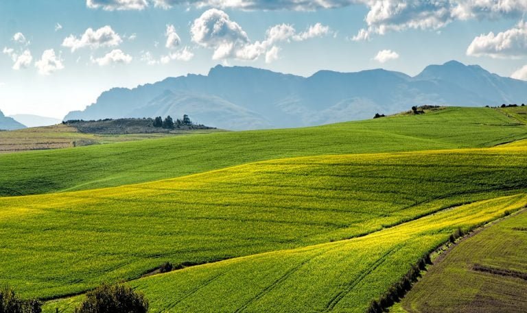 Green Field