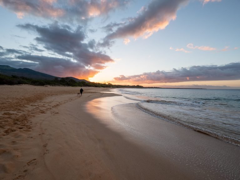 Sandy beach scaled