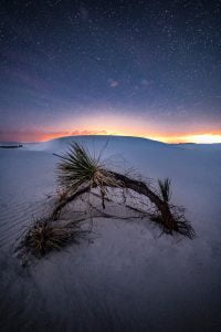 Snow Under Night Sky