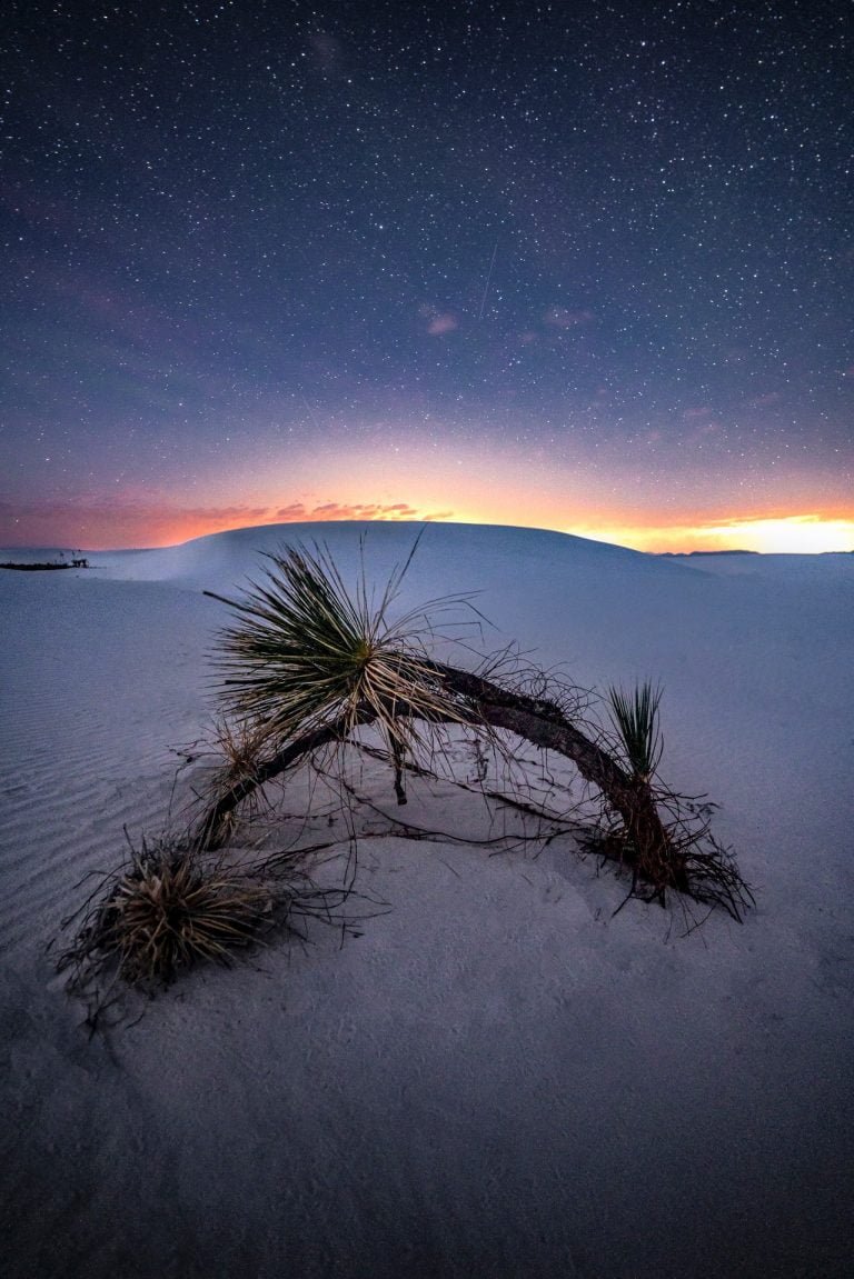 Snow Under Night Sky
