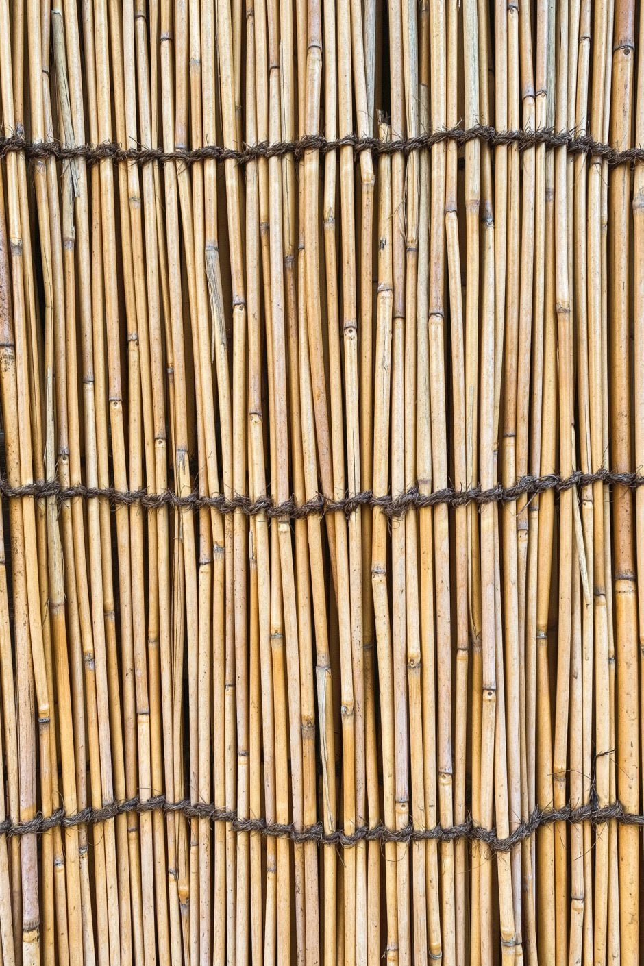 Background of thin bamboo stalks for phone - WallpapersUpdate