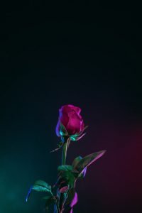 dssdf44566