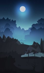 night summer