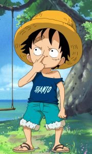 onepiece luffy scaled