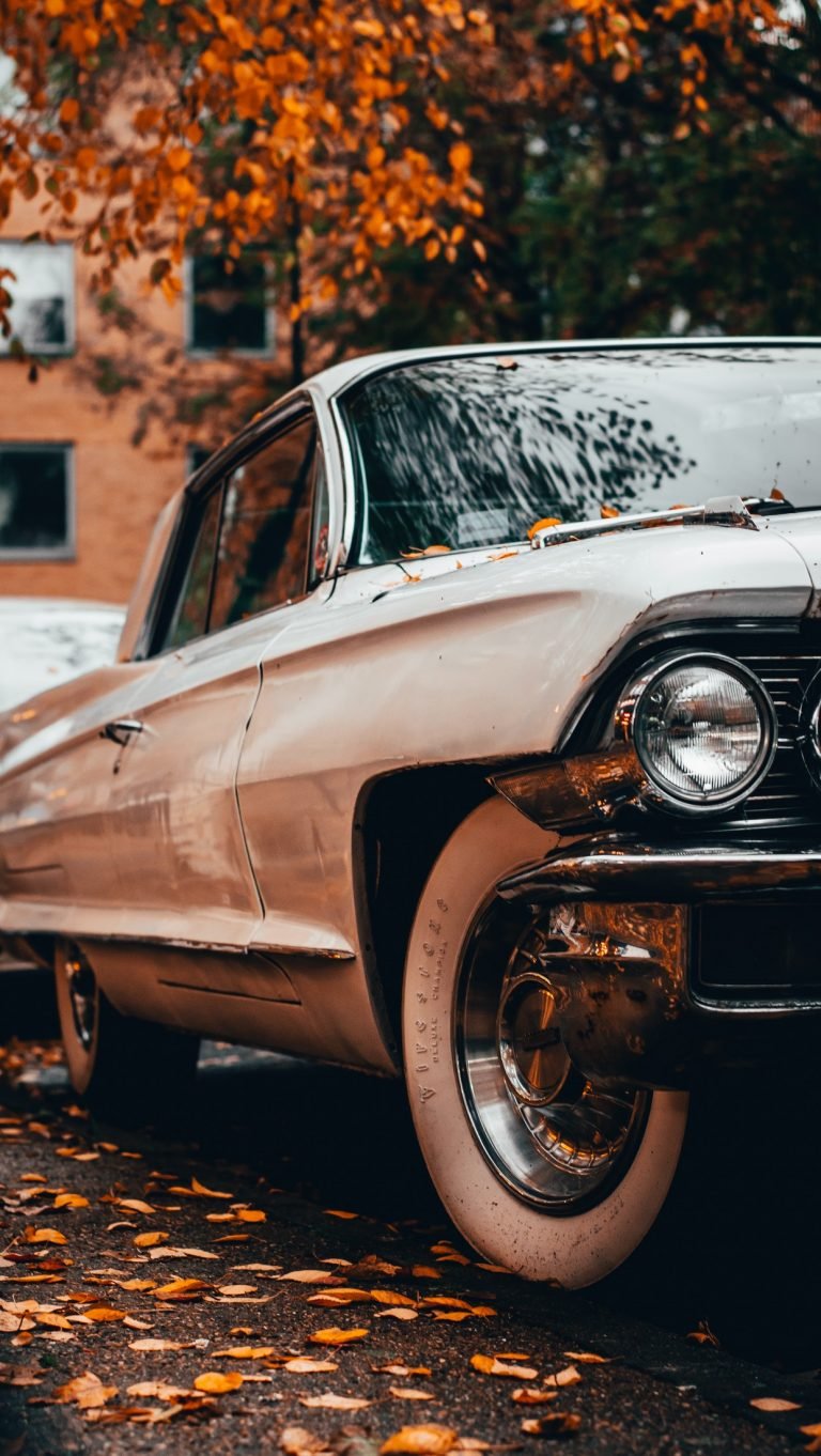pexels alex chistol 3283098