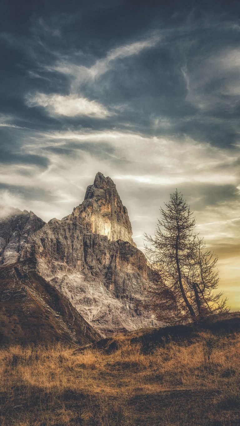 pexels eberhard grossgasteiger 3389468