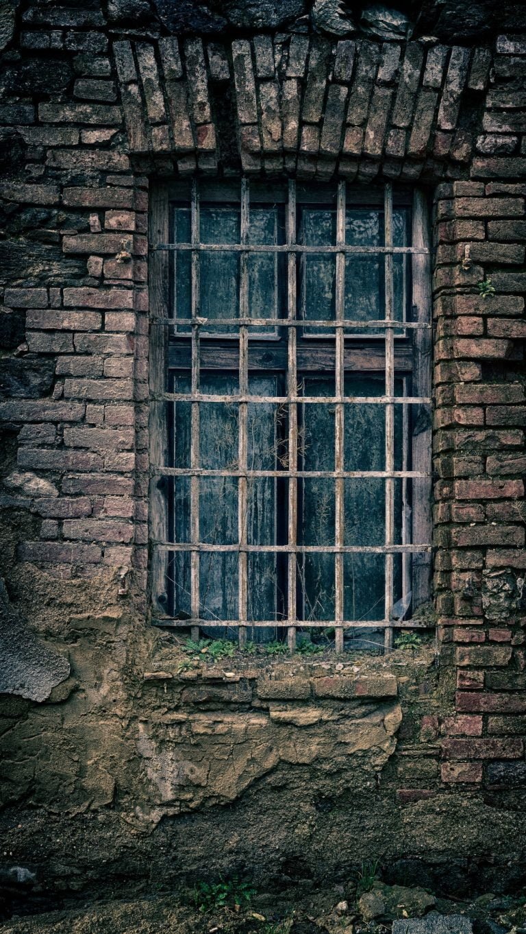 pexels pixabay 235986
