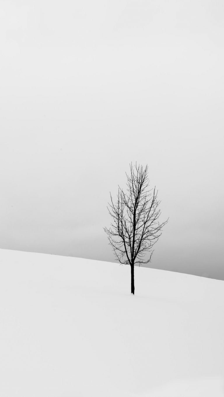 pexels todd trapani 1909331