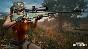 pubg royal scaled