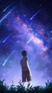 silhouette starry sky meteors 150584 1350x2400