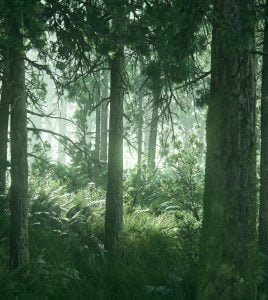 veiw lastofus