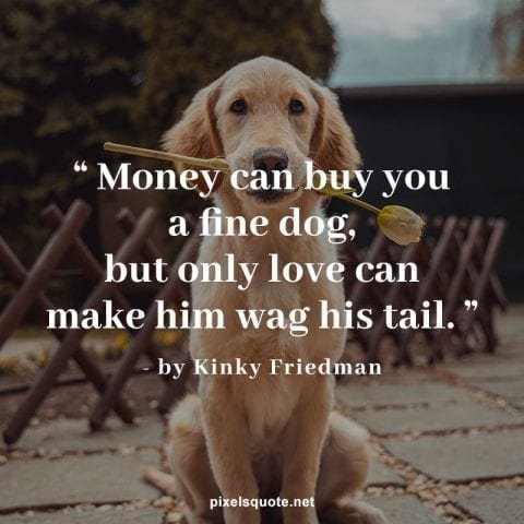 Dog best friend quotes