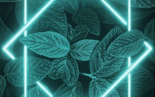 15 Best Wallpapers for iPhone 13 Pro 13 Pro Max iPhone 13