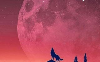 24530 wallpaper for smartphone