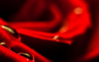 350301 red iphone wallpaper