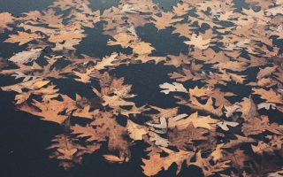 6 Autumn iPhone Wallpapers Fall