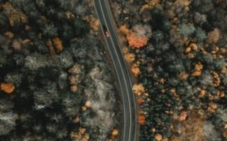 A Windy Highway During Fall iphone wallpaper