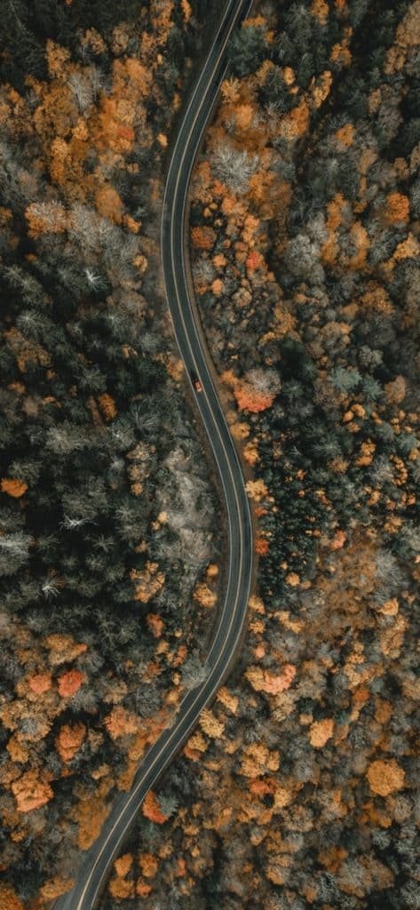 A Windy Highway During Fall iphone wallpaper