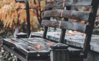 An Aesthetic Bench With Orange Leaves wallpaper