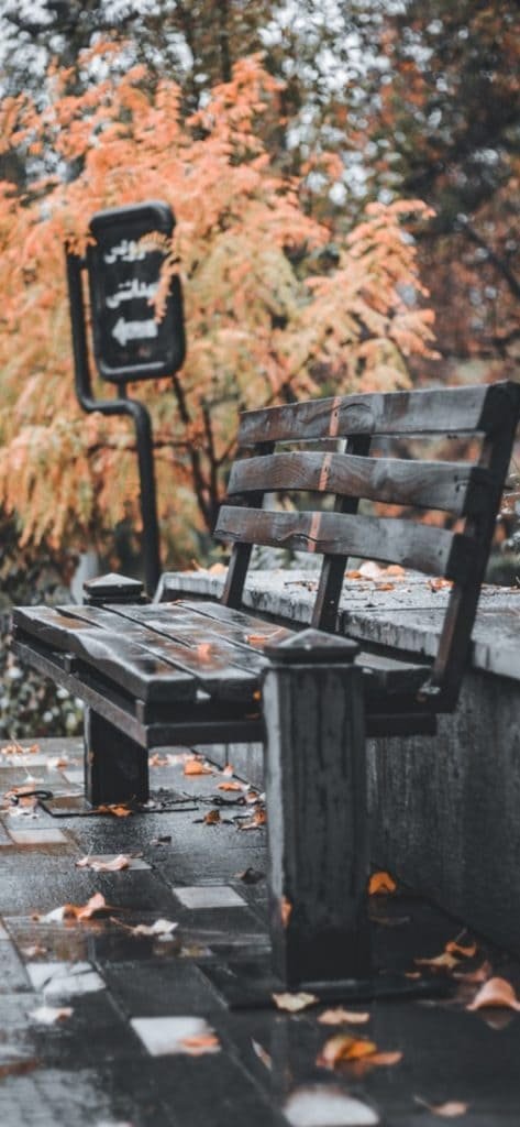 An Aesthetic Bench With Orange Leaves wallpaper