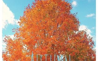 Autumn iPhone wallpaper