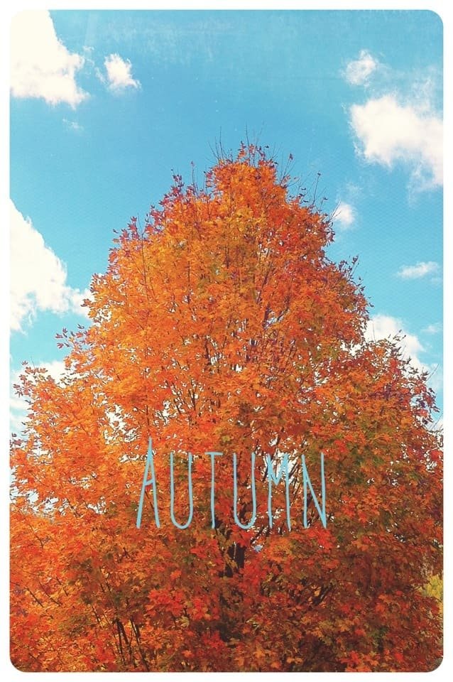 Autumn iPhone wallpaper