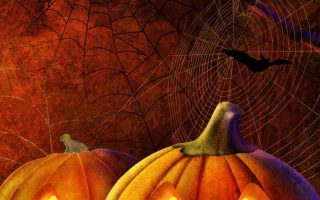 Bats and Jacks bat and pumpkin haloween theme poster pumpkins