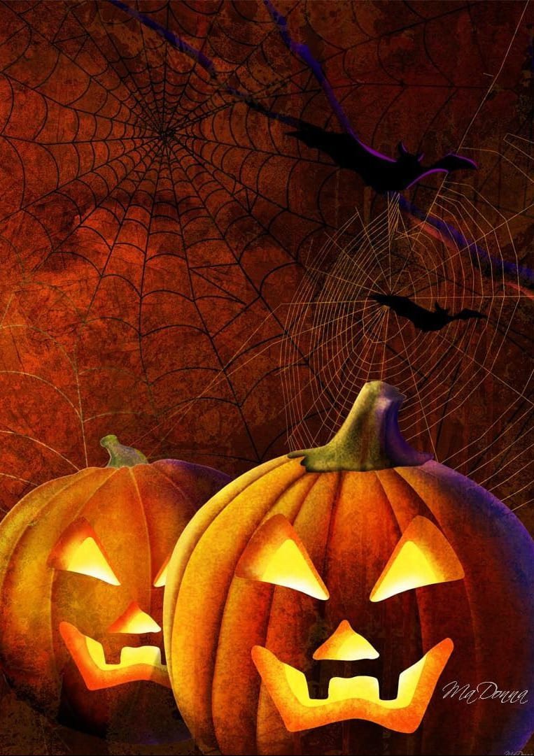 Bats and Jacks bat and pumpkin haloween theme poster pumpkins