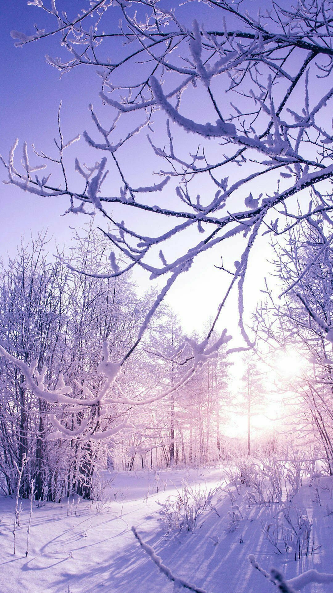 Beautiful snow iPhone Wallpaper