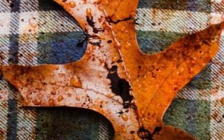Classic Fall Plaid and an Orange Leaf