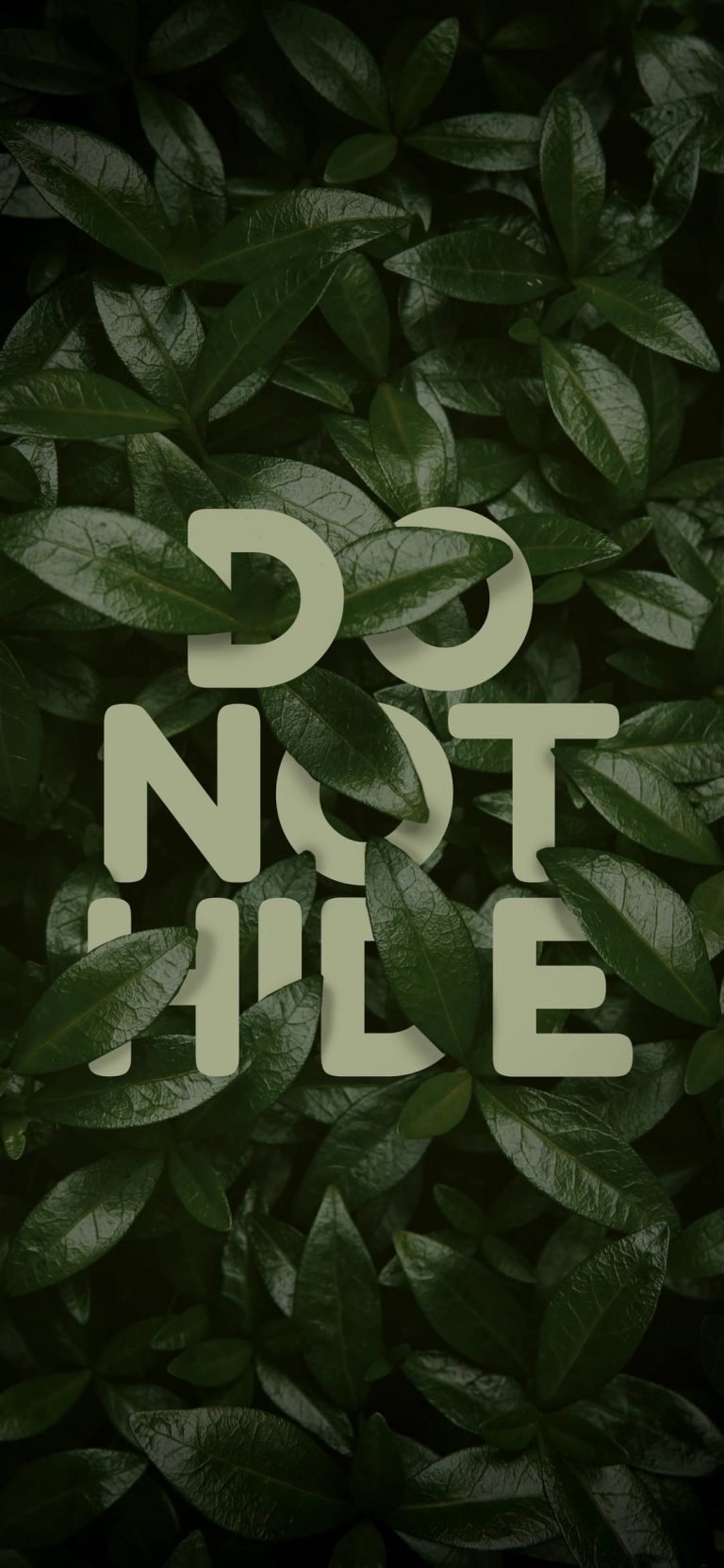 Do Not Hide Wallpaper 1080x2340 1