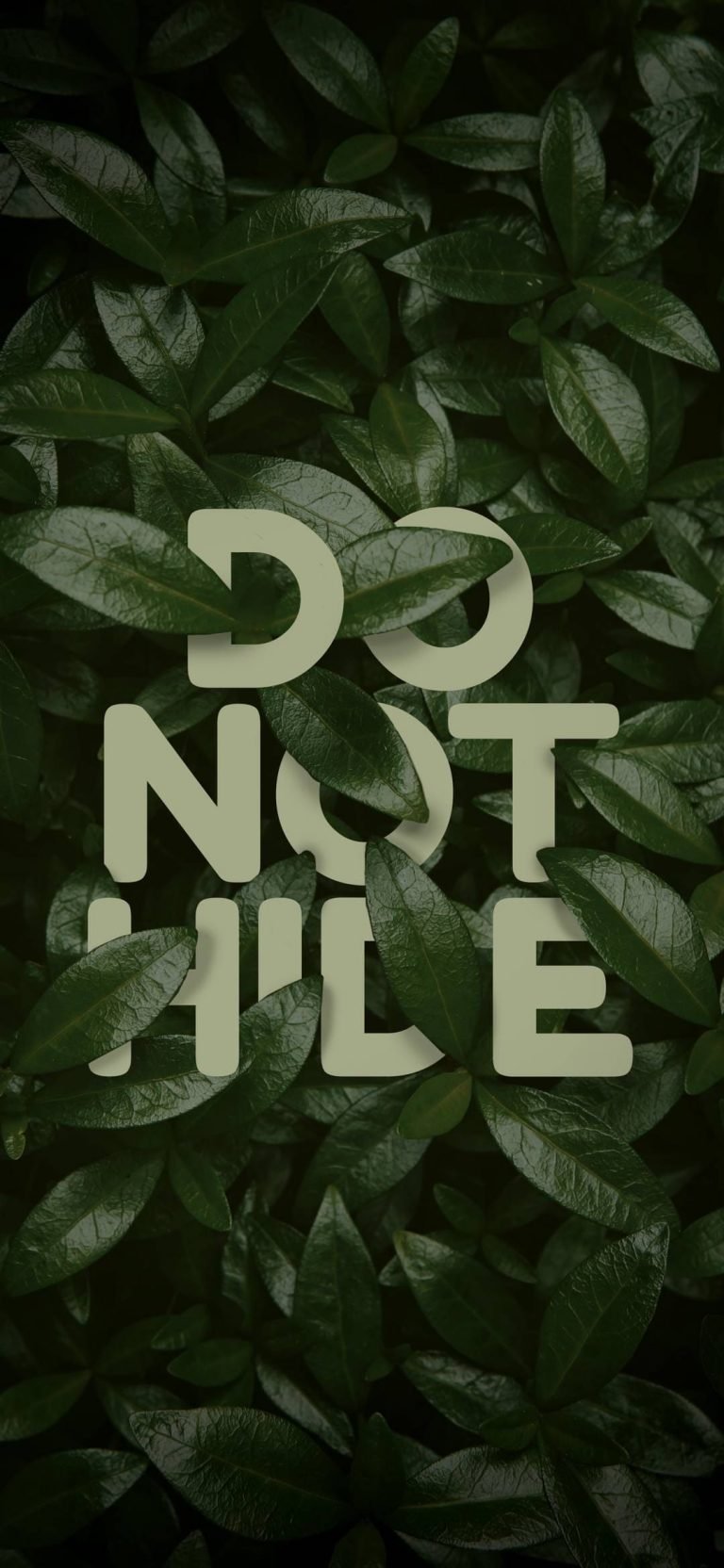Do Not Hide Wallpaper iPhone