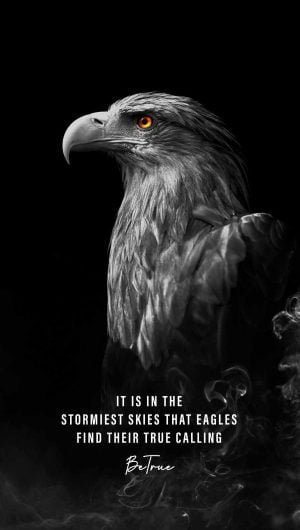 Eagle Quote iPhone Wallpaper