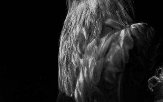 Eagle Quote iPhone Wallpaper