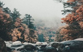 Fall iPhone Wallpaper Collection 10 autumn
