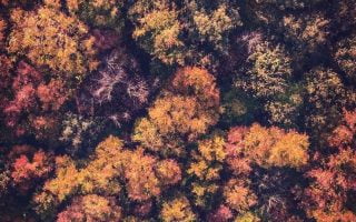 Fall iPhone Wallpaper Collection 13 autumn