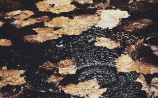 Fall iPhone Wallpaper Collection 4 autumn