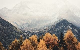 Fall iPhone Wallpaper Collection 7 autumn