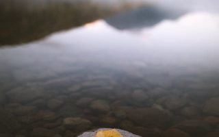 Fall in the Rockies iphone wallpaper