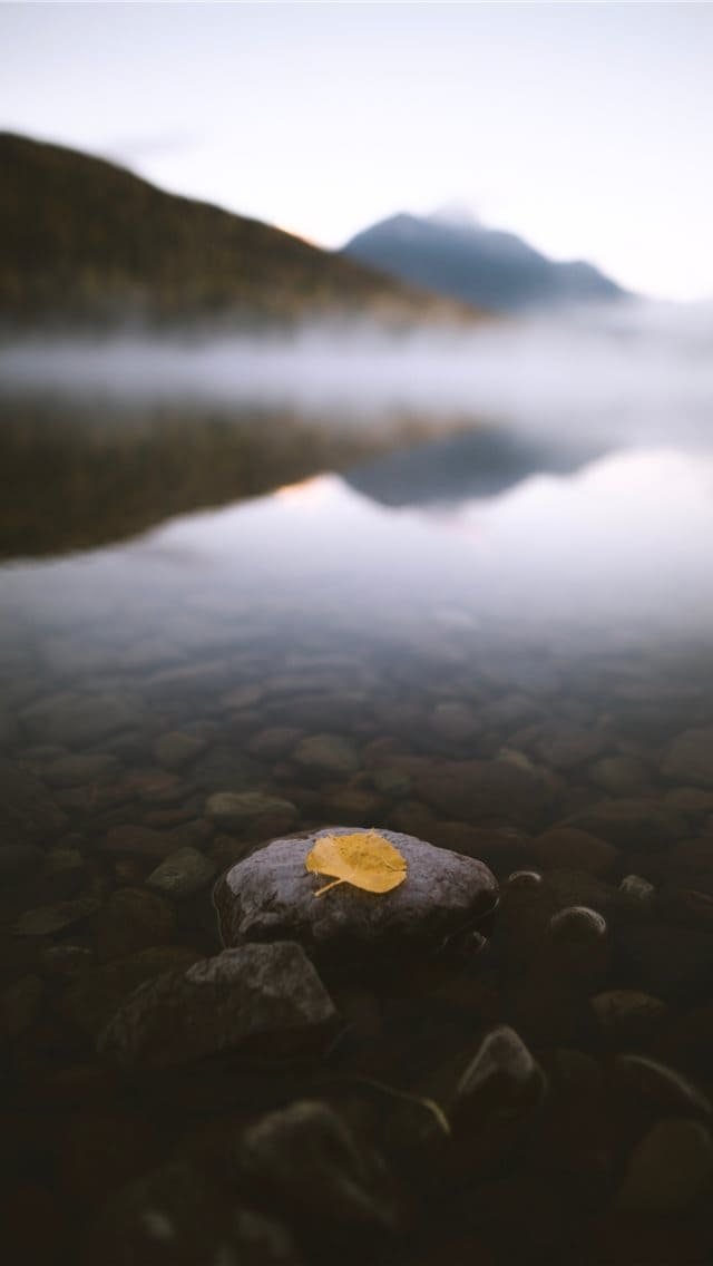 Fall in the Rockies iphone wallpaper