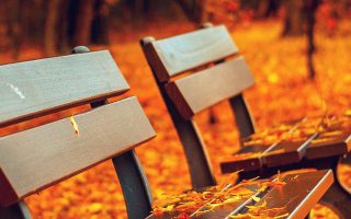 Fall leaves falling on the park bench wallpaper for iPhone