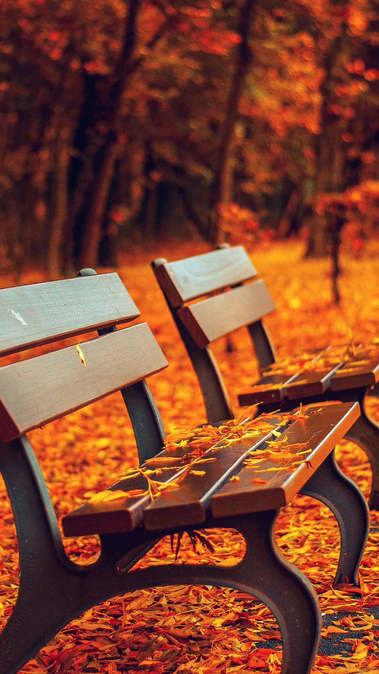 Fall leaves falling on the park bench wallpaper for iPhone