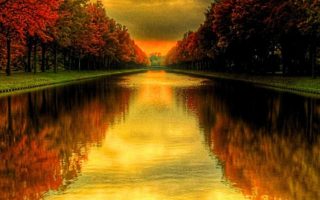 Fall nature wallpaper for iPhone