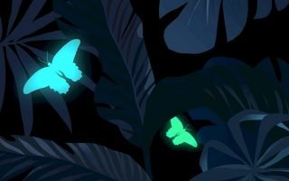 Foliage Butterflies iPhone Wallpaper