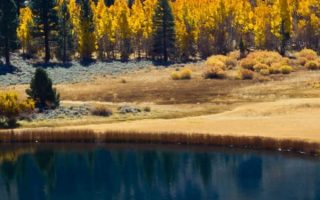 Free Autumn Lake iPhone Background