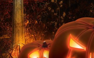 Halloween HD Wallpaper 05 pumpkin jack o lantern wallpapers
