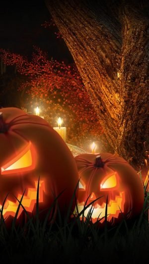 Halloween HD Wallpaper pumpkin jack o lantern wallpaper