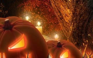 Halloween HD Wallpaper pumpkin jack o lantern wallpaper