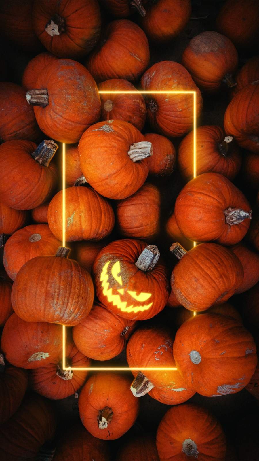 Halloween Pumpkins Wallpaper for iPhone