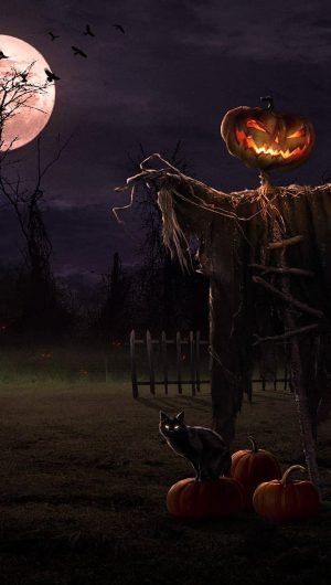 Halloween Scarecrow halloween holiday halloween